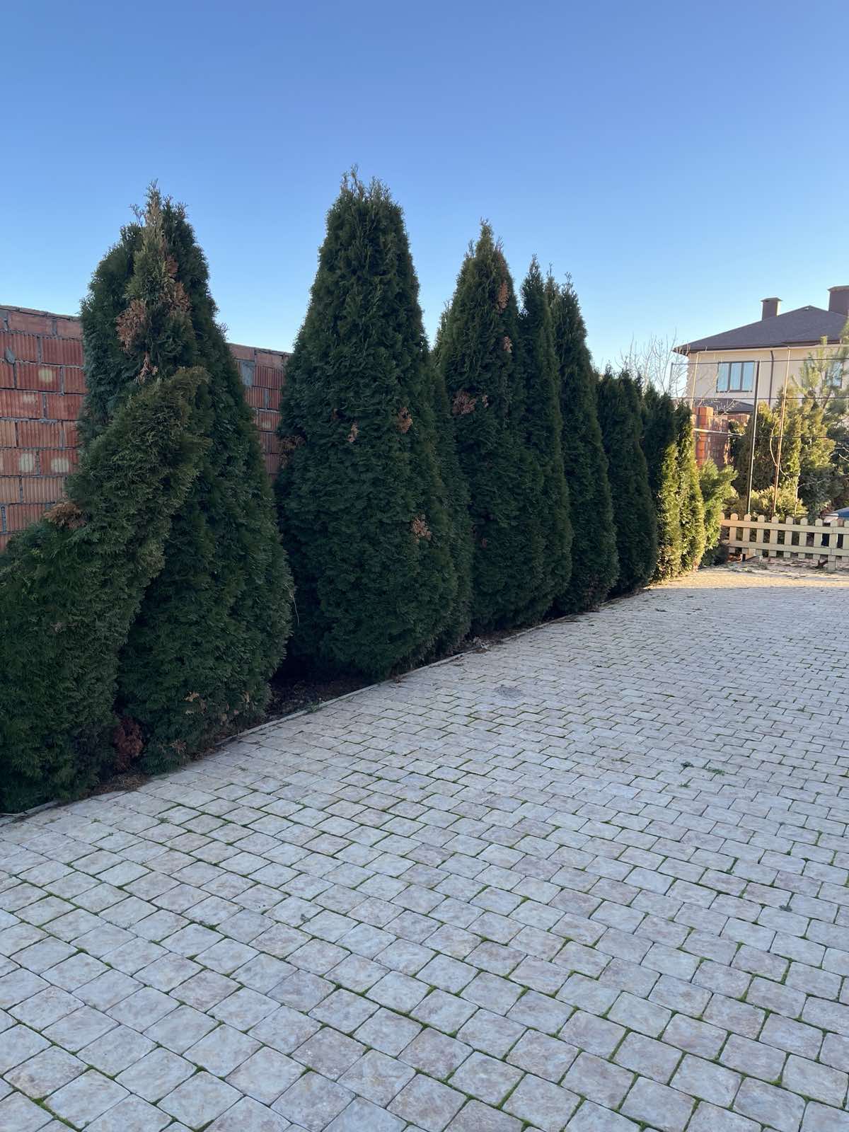 Продам отличный 2-х эт. дом в Совиньоне. ул.Корабельная/Люстдорф.  ID 54094 (Фото 3)